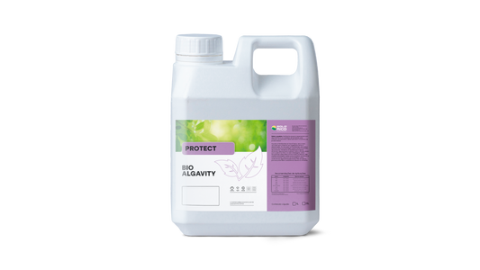Protect Bio AlgaVity – Bioestimulante Fisiológico para Vigor e Recuperação